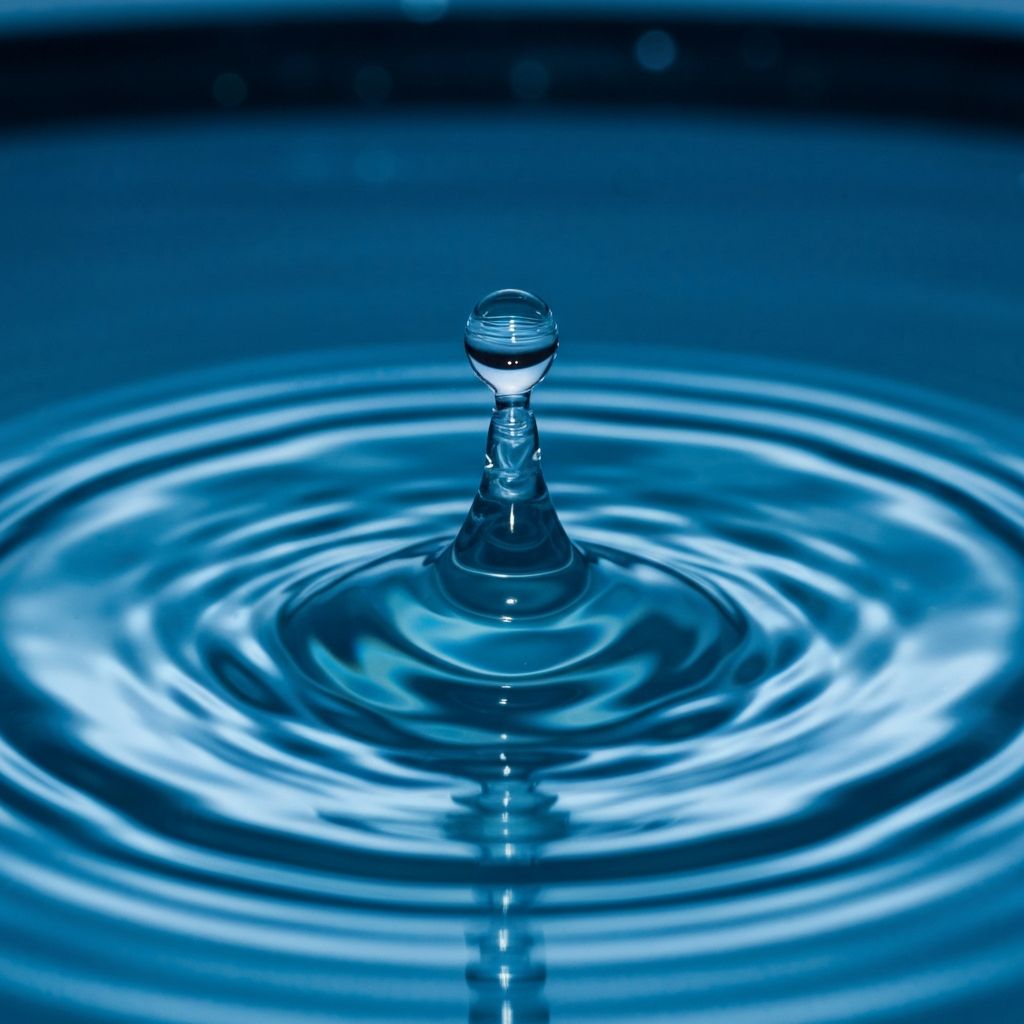 Calidad del Agua